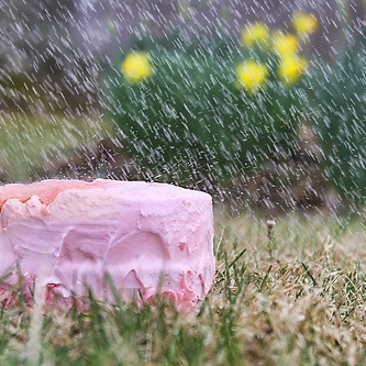 cake in the rain